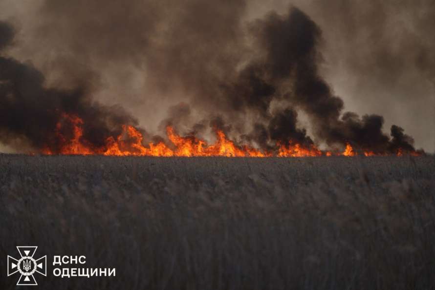 Масштабна пожежа вирує на Одещині