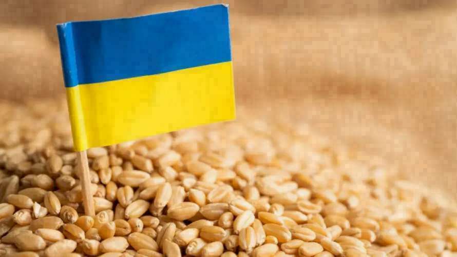 Країни ЄС звернулися до України з приводу скарги до СОТ через зерно