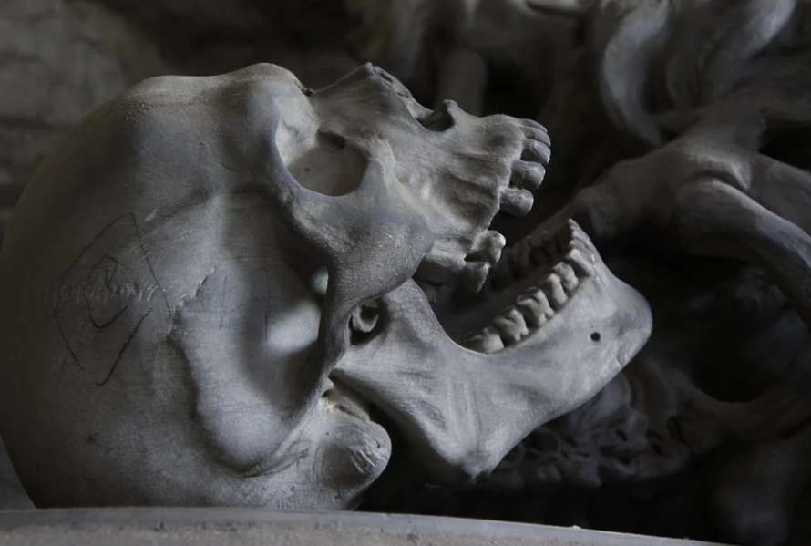 С дырочкой в левом боку. Ископаемые кости рассказывают историю самой древней операции
