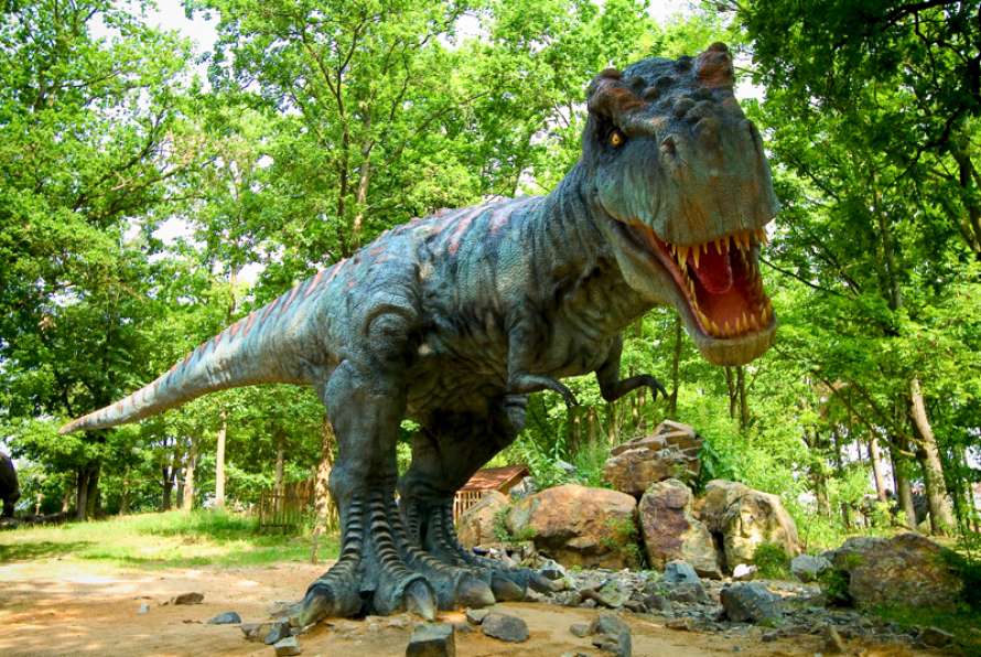 Dino park. Парк Динопарк. Парк динозавров Румыния. Дино парк Дино парк. «Динопарк» – парк динозавров.