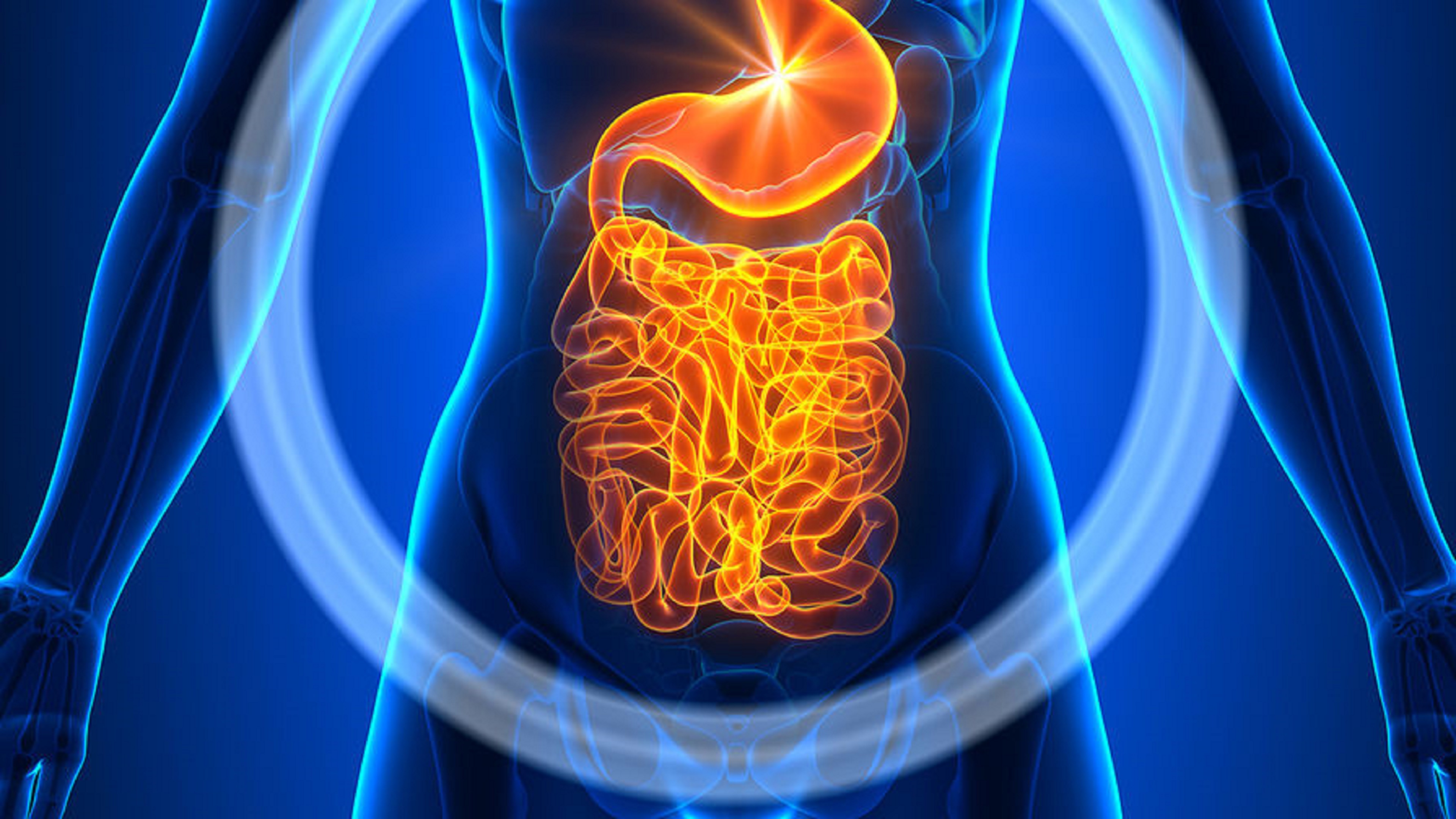 Предупреждение желудочно-кишечных заболеваний. Неделя профилактики заболеваний жкт. Меры профилактики заболеваний желудочно-кишечного тракта. Здоровые продукты. Зож жкт.