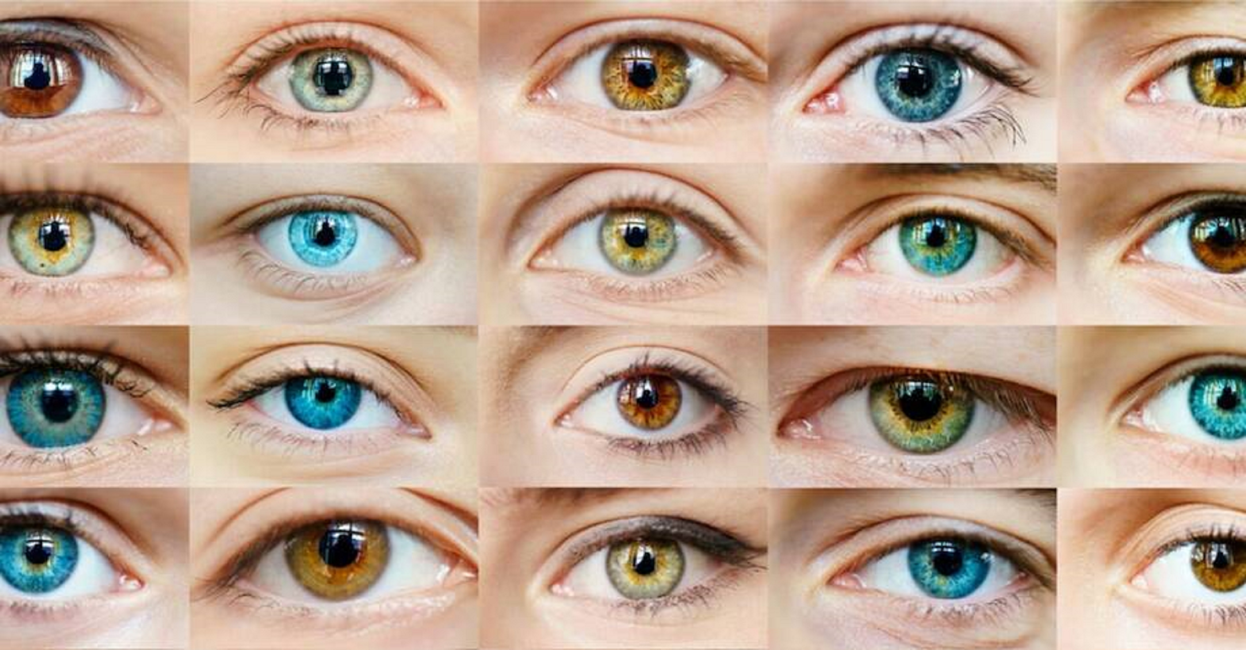 Який найрідкісніший колір очей у людини?