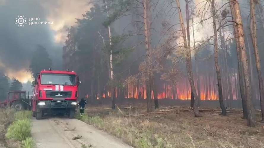 Масштабна лісова пожежа вирує в Донецькій області